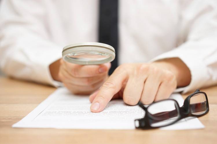 Scrutiny & Assessment
